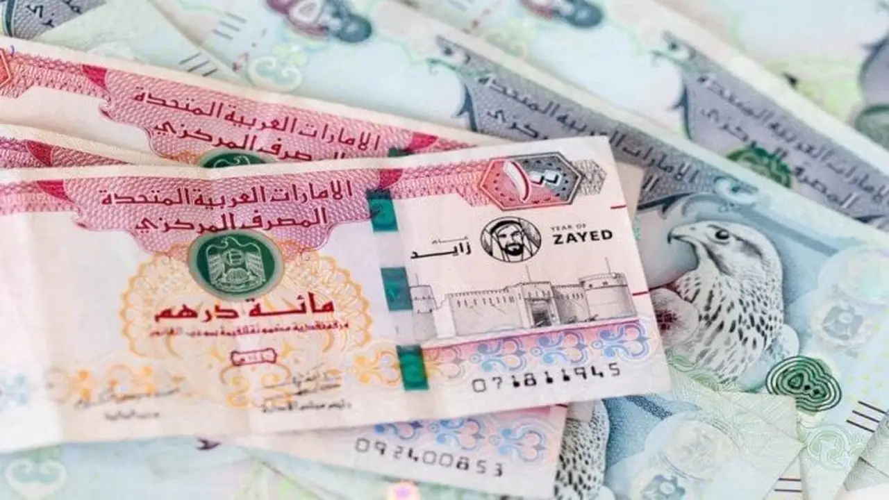 سعر الدرهم الإماراتي مقابل الجنيه المصري اليوم بتحديثات حية